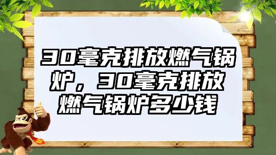 30毫克排放燃?xì)忮仩t，30毫克排放燃?xì)忮仩t多少錢