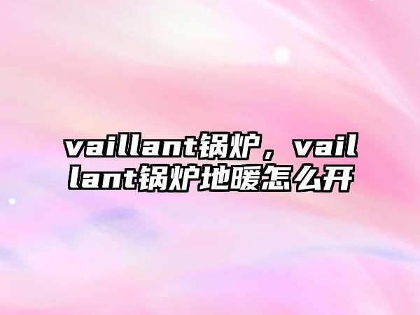 vaillant鍋爐，vaillant鍋爐地暖怎么開