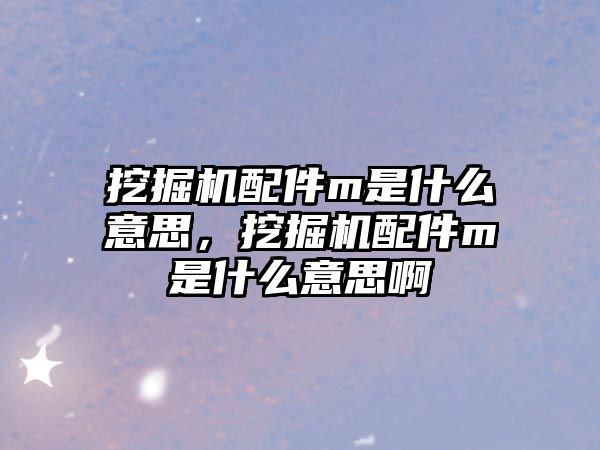 挖掘機配件m是什么意思，挖掘機配件m是什么意思啊