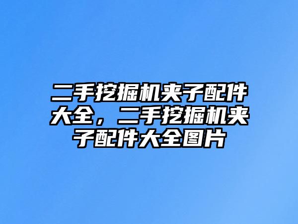 二手挖掘機(jī)夾子配件大全，二手挖掘機(jī)夾子配件大全圖片