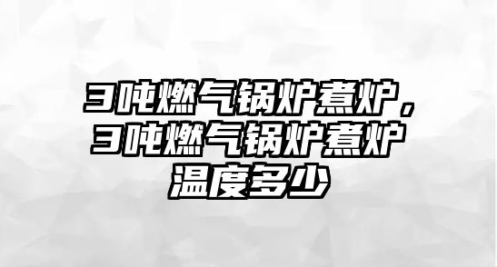 3噸燃?xì)忮仩t煮爐，3噸燃?xì)忮仩t煮爐溫度多少