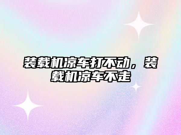 裝載機涼車打不動，裝載機涼車不走