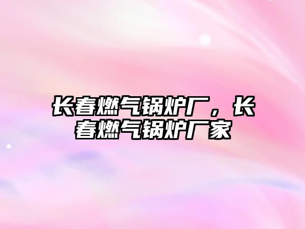 長(zhǎng)春燃?xì)忮仩t廠，長(zhǎng)春燃?xì)忮仩t廠家