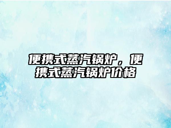 便攜式蒸汽鍋爐，便攜式蒸汽鍋爐價格