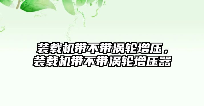 裝載機(jī)帶不帶渦輪增壓，裝載機(jī)帶不帶渦輪增壓器