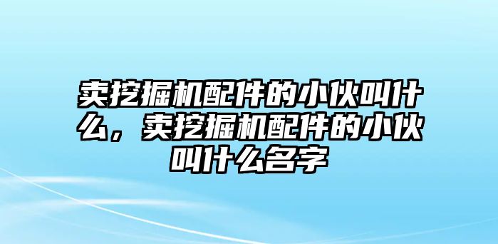 賣挖掘機配件的小伙叫什么，賣挖掘機配件的小伙叫什么名字