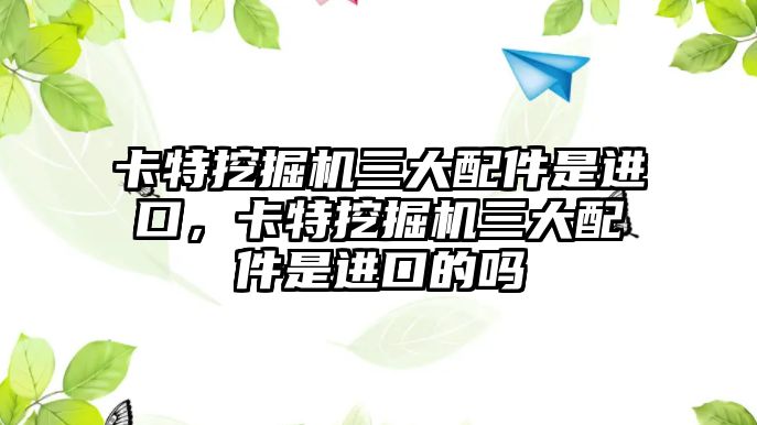 卡特挖掘機三大配件是進口，卡特挖掘機三大配件是進口的嗎