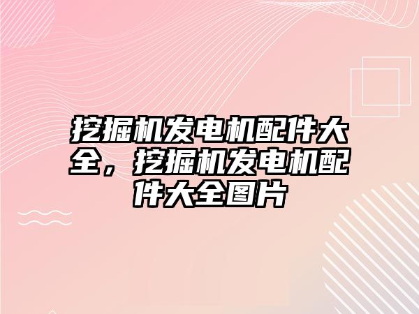 挖掘機發(fā)電機配件大全，挖掘機發(fā)電機配件大全圖片