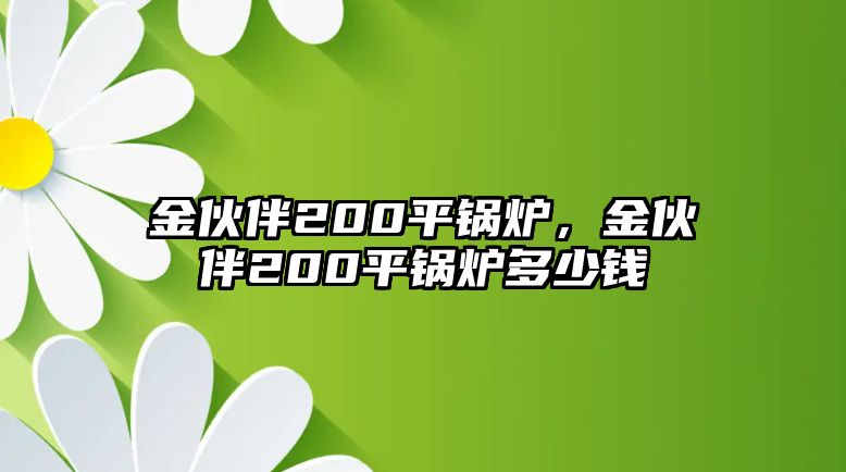 金伙伴200平鍋爐，金伙伴200平鍋爐多少錢(qián)