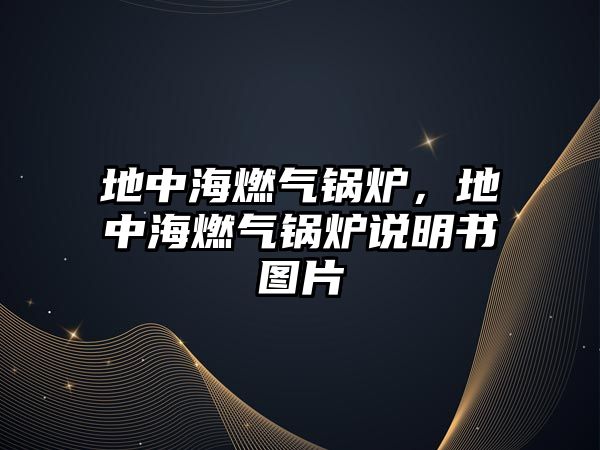 地中海燃?xì)忮仩t，地中海燃?xì)忮仩t說明書圖片