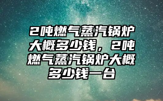 2噸燃氣蒸汽鍋爐大概多少錢，2噸燃氣蒸汽鍋爐大概多少錢一臺