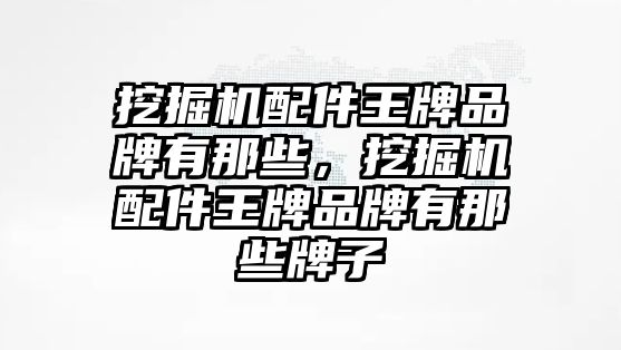 挖掘機(jī)配件王牌品牌有那些，挖掘機(jī)配件王牌品牌有那些牌子