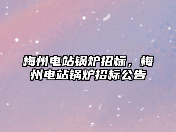 梅州電站鍋爐招標，梅州電站鍋爐招標公告