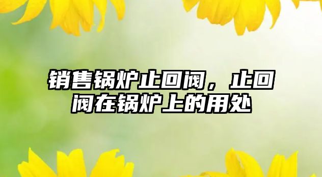 銷售鍋爐止回閥，止回閥在鍋爐上的用處