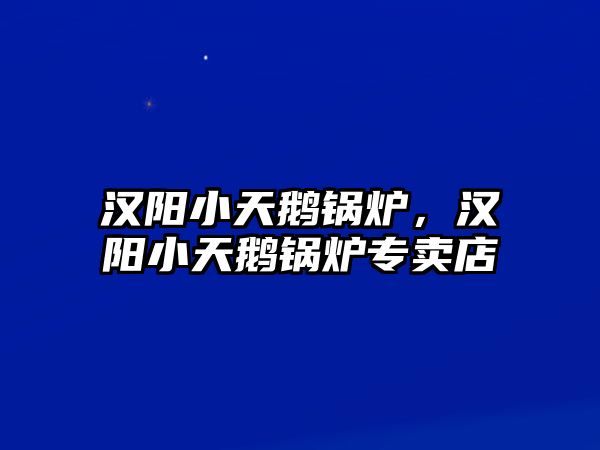 漢陽小天鵝鍋爐，漢陽小天鵝鍋爐專賣店