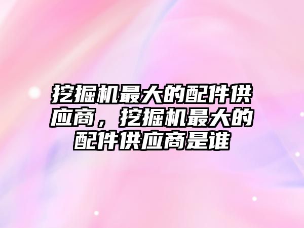 挖掘機最大的配件供應商，挖掘機最大的配件供應商是誰