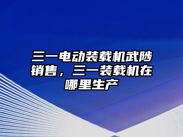 三一電動裝載機武陟銷售，三一裝載機在哪里生產(chǎn)