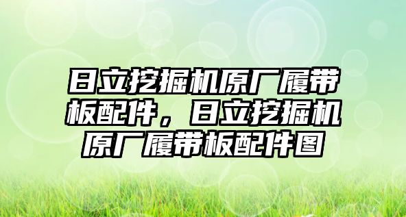 日立挖掘機原廠履帶板配件，日立挖掘機原廠履帶板配件圖