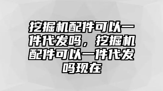 挖掘機(jī)配件可以一件代發(fā)嗎，挖掘機(jī)配件可以一件代發(fā)嗎現(xiàn)在