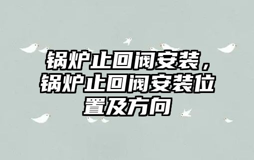 鍋爐止回閥安裝，鍋爐止回閥安裝位置及方向