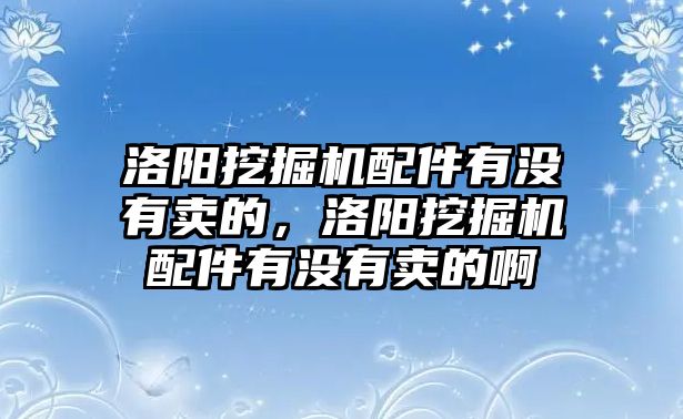 洛陽挖掘機(jī)配件有沒有賣的，洛陽挖掘機(jī)配件有沒有賣的啊