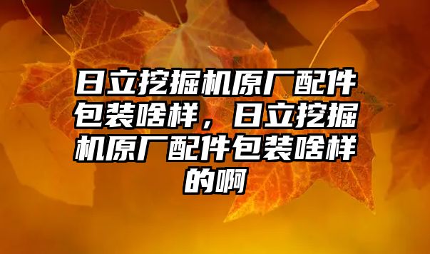 日立挖掘機原廠配件包裝啥樣，日立挖掘機原廠配件包裝啥樣的啊