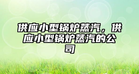 供應(yīng)小型鍋爐蒸汽，供應(yīng)小型鍋爐蒸汽的公司