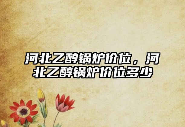 河北乙醇鍋爐價位，河北乙醇鍋爐價位多少