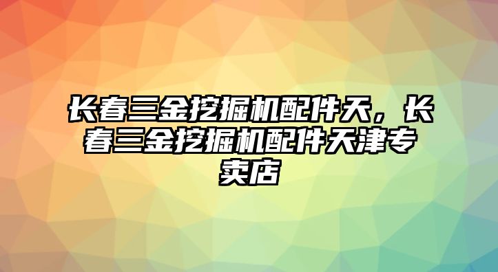 長春三金挖掘機(jī)配件天，長春三金挖掘機(jī)配件天津?qū)Ｙu店