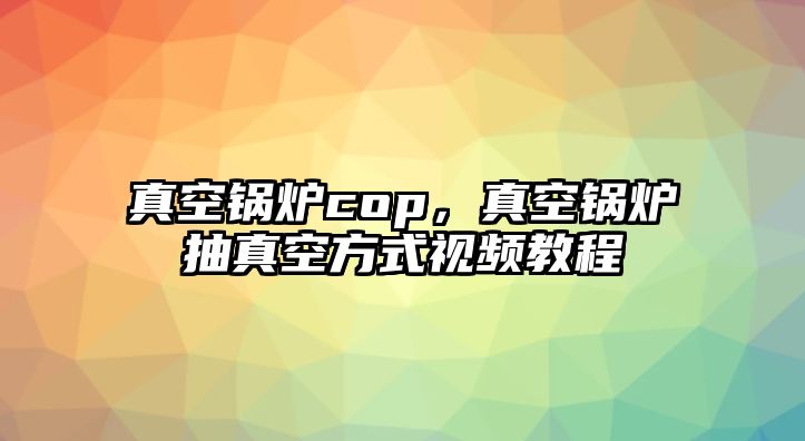 真空鍋爐cop，真空鍋爐抽真空方式視頻教程