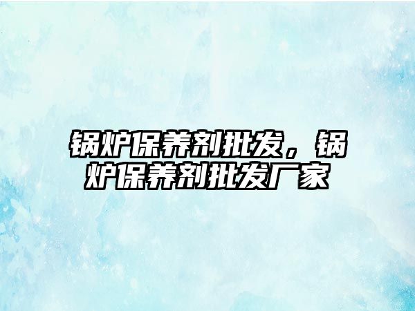 鍋爐保養(yǎng)劑批發(fā)，鍋爐保養(yǎng)劑批發(fā)廠家