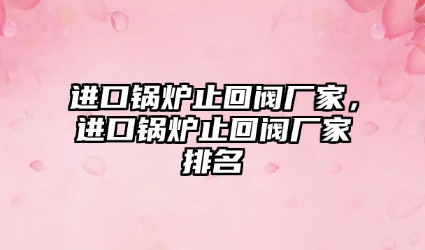 進口鍋爐止回閥廠家，進口鍋爐止回閥廠家排名