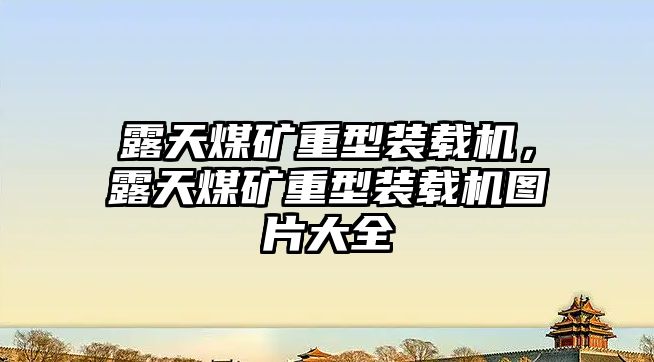 露天煤礦重型裝載機，露天煤礦重型裝載機圖片大全