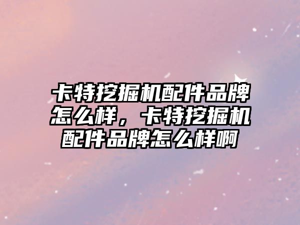 卡特挖掘機配件品牌怎么樣，卡特挖掘機配件品牌怎么樣啊