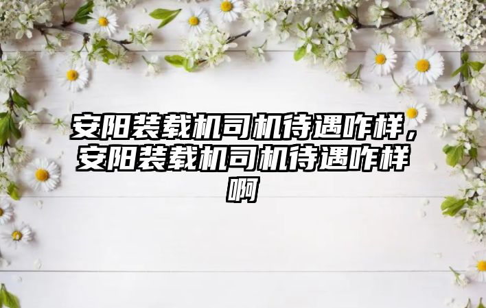 安陽裝載機司機待遇咋樣，安陽裝載機司機待遇咋樣啊