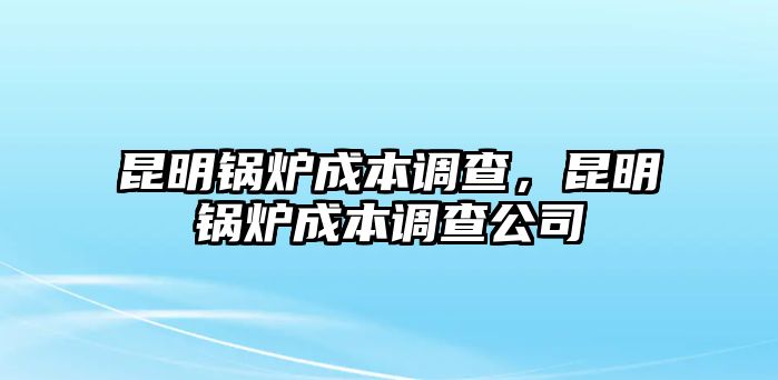 昆明鍋爐成本調(diào)查，昆明鍋爐成本調(diào)查公司