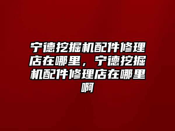 寧德挖掘機配件修理店在哪里，寧德挖掘機配件修理店在哪里啊