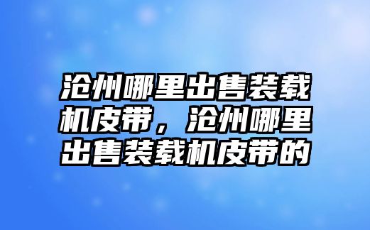 滄州哪里出售裝載機皮帶，滄州哪里出售裝載機皮帶的