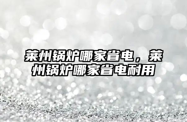 萊州鍋爐哪家省電，萊州鍋爐哪家省電耐用