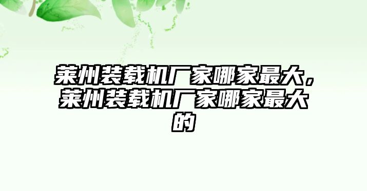 萊州裝載機(jī)廠家哪家最大，萊州裝載機(jī)廠家哪家最大的