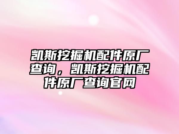 凱斯挖掘機(jī)配件原廠查詢，凱斯挖掘機(jī)配件原廠查詢官網(wǎng)