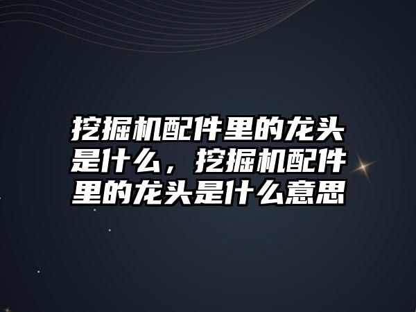 挖掘機(jī)配件里的龍頭是什么，挖掘機(jī)配件里的龍頭是什么意思