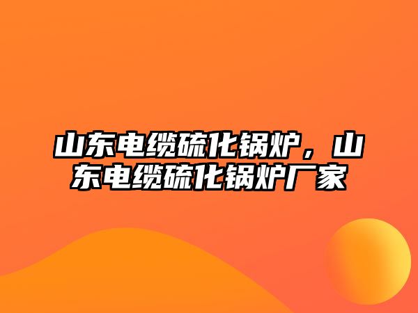 山東電纜硫化鍋爐，山東電纜硫化鍋爐廠家