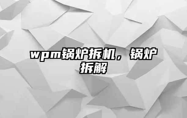 wpm鍋爐拆機，鍋爐拆解