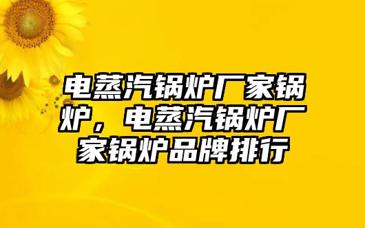 電蒸汽鍋爐廠家鍋爐，電蒸汽鍋爐廠家鍋爐品牌排行