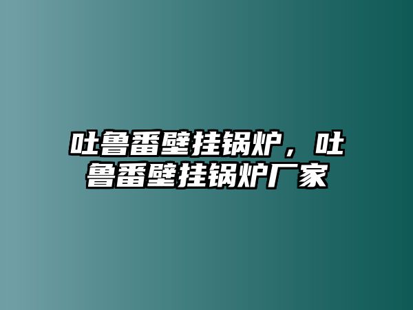 吐魯番壁掛鍋爐，吐魯番壁掛鍋爐廠家