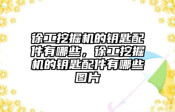 徐工挖掘機的鑰匙配件有哪些，徐工挖掘機的鑰匙配件有哪些圖片