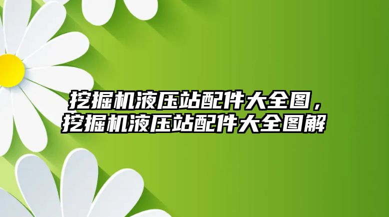 挖掘機液壓站配件大全圖，挖掘機液壓站配件大全圖解