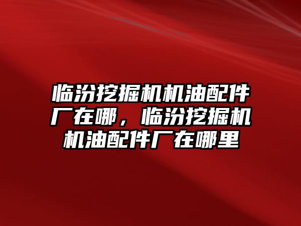 臨汾挖掘機機油配件廠在哪，臨汾挖掘機機油配件廠在哪里