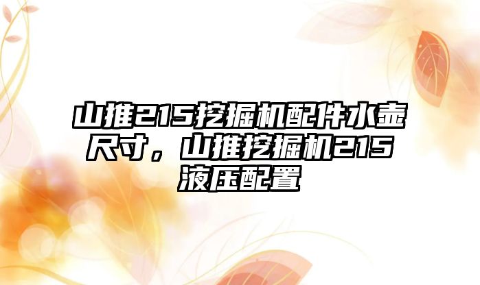 山推215挖掘機配件水壺尺寸，山推挖掘機215液壓配置